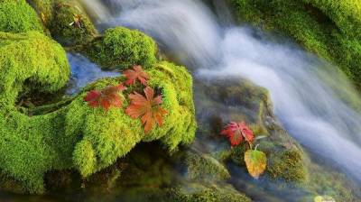 270 Amazing Nature HD Wallpapers 1366x768
