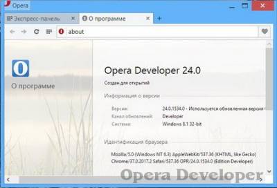 Opera Developer 24.0.1558.21
